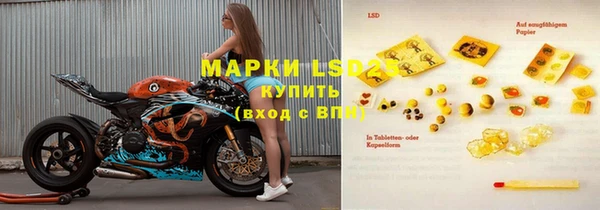 прущие грибы Алзамай