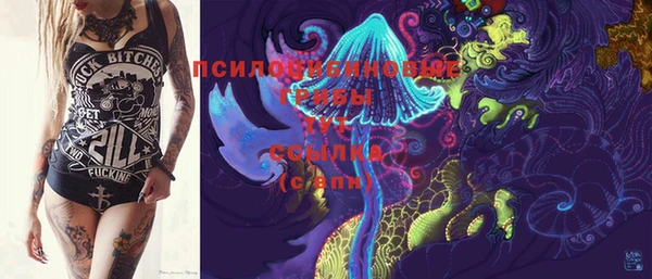 прущие грибы Алзамай