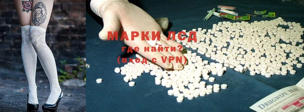 прущие грибы Алзамай