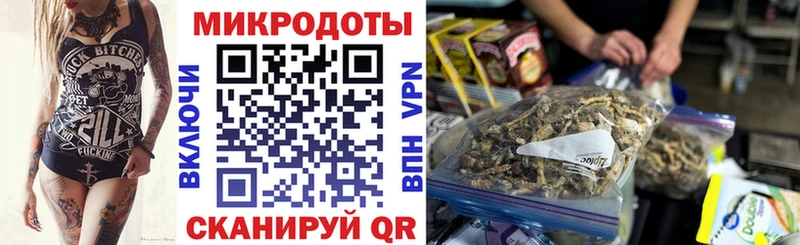Псилоцибиновые грибы Psilocybine cubensis  Усинск 